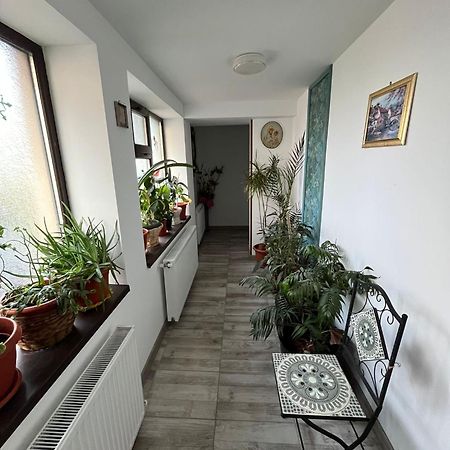 Solaria Budget Studio Galati  Exterior photo